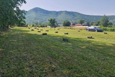 Spațiu comercial, în Bucium - 2