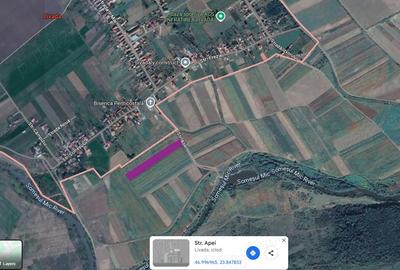 Teren de 8700 mp, în Livada (Iclod) - 1