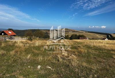 Teren de 1500 mp, în Central