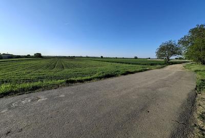 DÂRZA - TEREN INTRAVILAN - 3