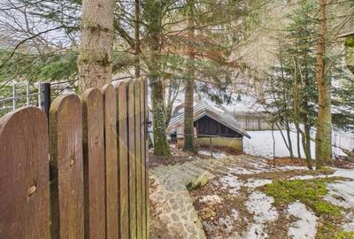 Casă cu 6 camere cu Teren 400.7200012207 Mp în Cioplea - 42