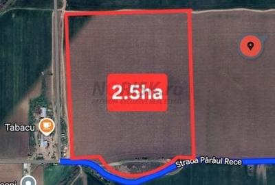 Teren Construcții intravilan de 1500 mp, în Domnești - 23