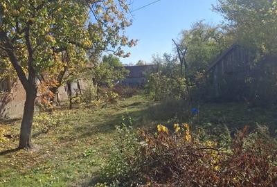 Vand casa in comuna Branceni - 3