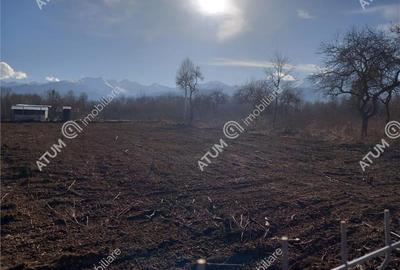Teren intravilan de vanzare 1900 mp in Avrig zona Valea Avrigului - 7