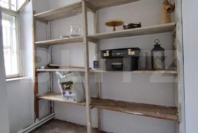 Casa istorica, 2 apartamnte, curte proprie- posibilitati multiple, zona Balcescu - 13