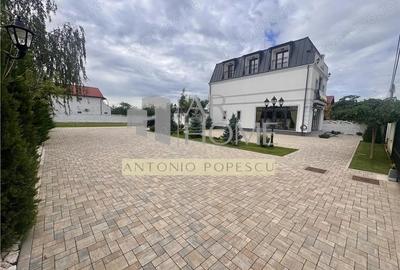 Vanzare spatiu comercial si curte generoasa, in Paulestii Noi - 12