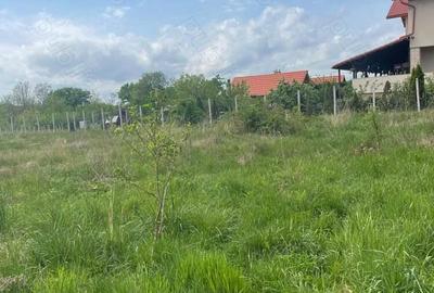 Tautii Magheraus,parcele de 540-550 mp,teren intravilan,drum de servitute ,doar 3500 euro ar - 4