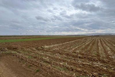 Teren de 2500 mp, în Hănțești - 7