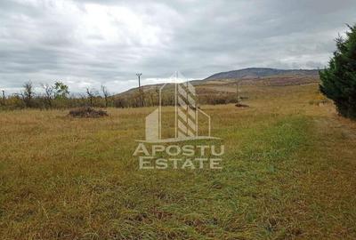 Teren 3800 Mp Ghioroc cu Utilitati - 1