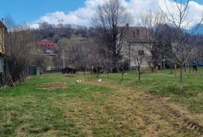 Spațiu comercial, în Bran - 1