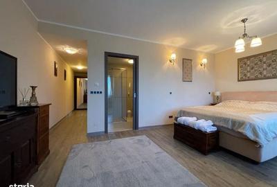 Apartament de Închiriat - Silver Mountain Resort - 3