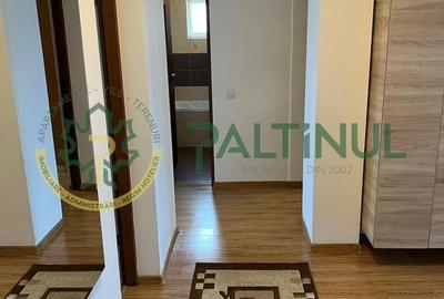 Apartament cu 3 camere decomandat, mobilat în Șelimbăr - 8