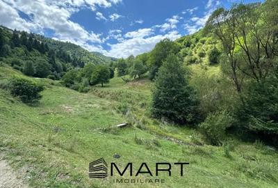 Teren intravilan 8500mp Rasinari - 1