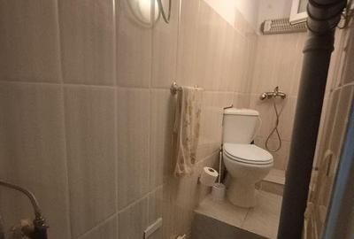 Apartament in vila 2 camere - 6