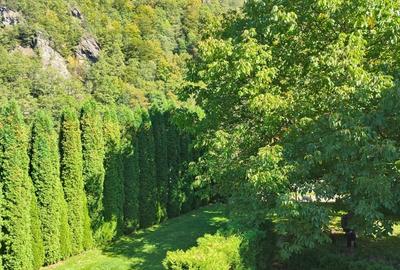 Vilă de vânzare în munții Retezat - 9