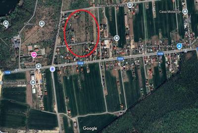 Teren de 3300 mp, în Snagov