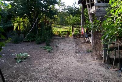 Casă cu 3 camere în Tăut - 4