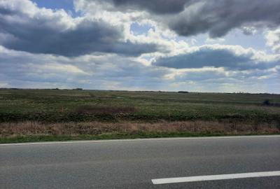 Spațiu comercial, în Sânmihaiu Român - 3