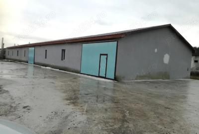 Persoana juridica inchiriez hala in Panic Zalau - 3