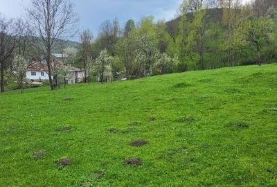 Teren de 3474 mp, în Central - 5