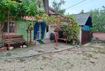 Casă individuală cu 2 camere cu Teren 2600 Mp în Crâmpoia - 6