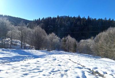 Teren de 8700 mp, în Tărlungeni - 2