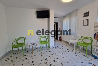 Casa D+P+1E+M si spatiu S+P, 862 mp, teren 690 mp, Piata Chiriac - 27