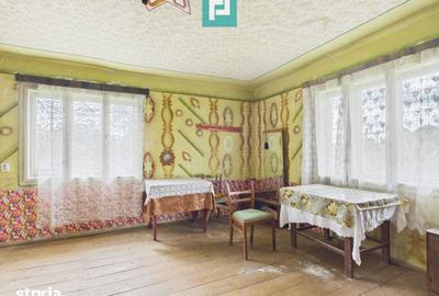 Casă cu 2 camere cu Teren 17681 Mp în Almaș - 9