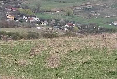 Teren de 2500 mp, în Borhanci - 3