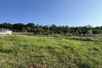 Spațiu comercial, în Aroneanu - 6