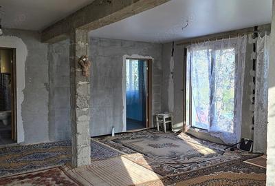 Casă cu 5 camere cu Teren 2763 Mp în Băița - 14