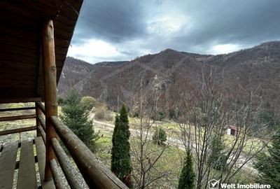 Oportunitate unica! 5ha + 2 cabane de vacanta in Valea Ierii - 17