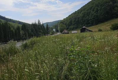 Teren de 5500 mp, în Hurez - 3