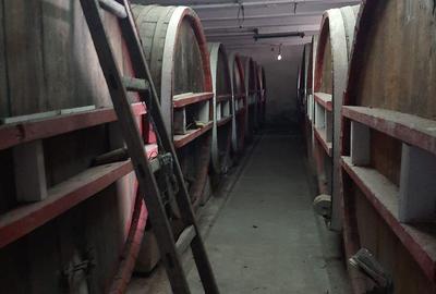 Casă cu Teren 10500 Mp în Vârteșcoiu - 3