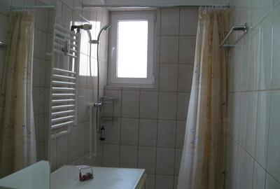 Balta Alba, Salajan, Piata Titan, la statuie - 7