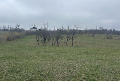 Spațiu comercial, în Ocnița - 3