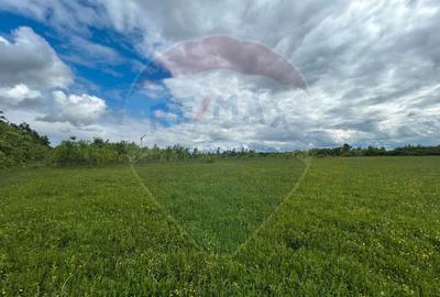 Teren de 4000 mp, în Cicârlău - 3