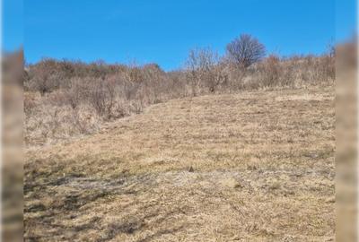 Teren Construcții intravilan de 1400 mp, în Cojocna - 5