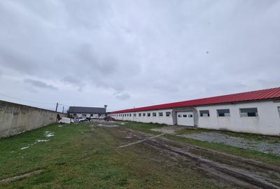 Oportunitate Unica: Teren Intravilan cu Hală de productie și Casă Modernă - 2