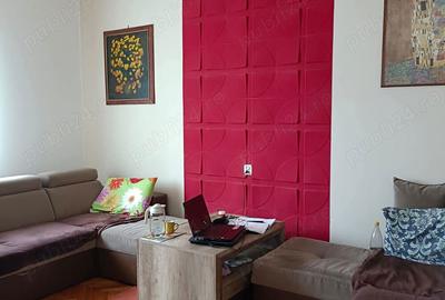 Casa P+M mobilata, curte si gradina mare - 4