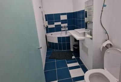 Garsonieră decomandată, mobilată în Tei - 7