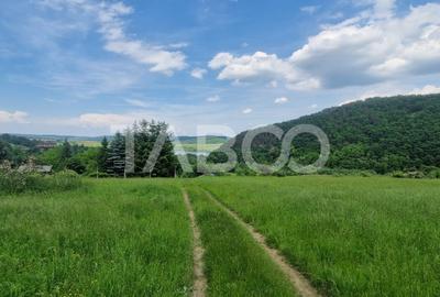 Priveliste deosebita de vanzare de pe teren de 1645mp extravilan Orlat - 5