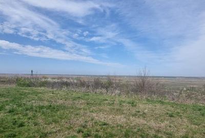 Teren Construcții intravilan de 4300 mp, în Comana - 4