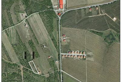Teren de 2673 mp, în Oncea - 1