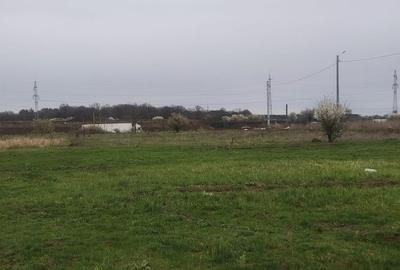 Teren pretabil hala industriala/rezidential Catelu - 3