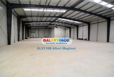 Spatiu Depozitare/Hala Centura-Mogosoaia - 5