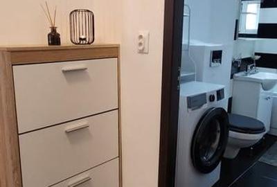 Apartament 3 camere in Bulevardul Victoriei, parter, balcon, mobilat si utilat! - 13