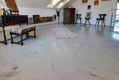 Vand casa com Sandulesti - 3