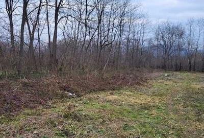 Teren de 2200 mp, în Unguriu - 3