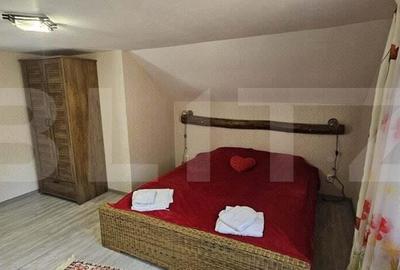 Casa in inima naturii, 140 mp la doar 15 minute de Hunedoara - 2